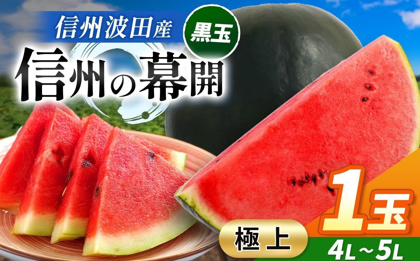 
            【先行受付：2026年7月発送】信州波田産 贈答用 黒玉スイカ！信州の幕開 【極上】 4L～5Lサイズ 1玉｜ふるさと納税 長野県 信州 松本 果物 フルーツ すいか スイカ 西瓜 贈答 季節限定 甘い くだもの ふるーつ
          