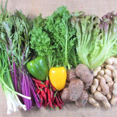 ふるさと納税 安芸高田市 旬の野菜・定期便(3か月)[No5895-0456] |  | 02