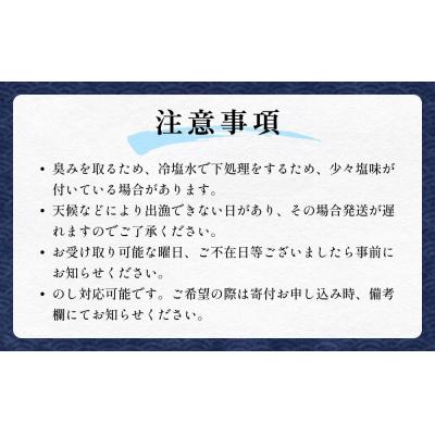 ふるさと納税 石巻市 アナゴ 2パック 穴子 あなご 魚介 魚介類 海鮮 下処理済 直送 新鮮 冷凍 焼き物 煮付け フラ |  | 02