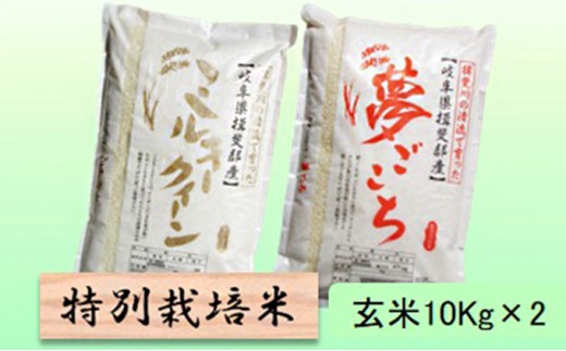 
                  特別栽培米★玄米20kg【ミルキークイーン・夢ごこち】各10Kg お米 ブランド米 銘柄米 ご飯 モチモチ 冷めても美味しい 低アミロース米 
                