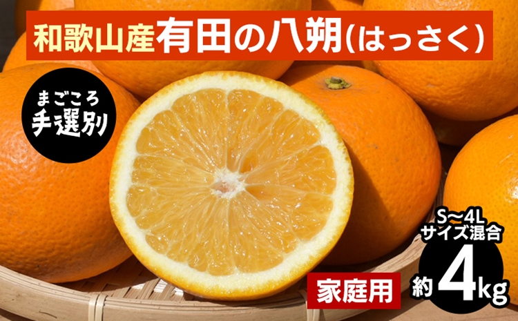 【先行予約】 有田の八朔（はっさく） 家庭用 約4kg S～4L サイズ混合 和歌山県産