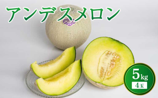 先行予約 アンデスメロン 4玉入り 合計約5kg【サンサンうきっ子宇城彩館】【2026年4月中旬〜5月中旬頃発送予定】