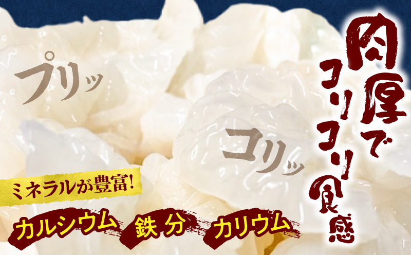 白いきくらげ「きくらげ姫」(乾燥タイプ)45g きくらげ 白いきくらげ 木耳