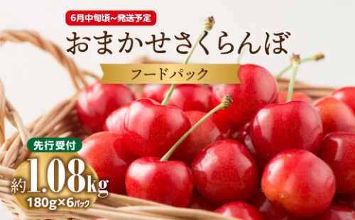 《先行受付》おまかせさくらんぼ フードパック 約1.08kg (180g×6)【2026年6月中旬頃～発送予定】【山形県産さくらんぼ】 【001-088】