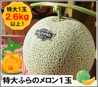 【2026年発送】【ポプラファーム】富良野メロン特大1玉（2.6㎏以上秀品）【BC-008】