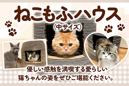 猫用品 ねこちぐら ねこもふハウス（中サイズ） 濱田紙販売株式会社 猫 ネコ《90日以内に出荷予定(土日祝除く)》 和歌山県 紀の川市 ペット用品 段ボール ダンボール 爪とぎ ツメとぎ