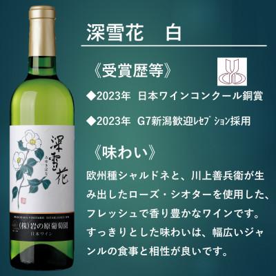 ふるさと納税 上越市 岩の原ワイン　深雪花ハーフサイズ　6本セット(赤2本/白2本/ロゼ2本) |  | 02