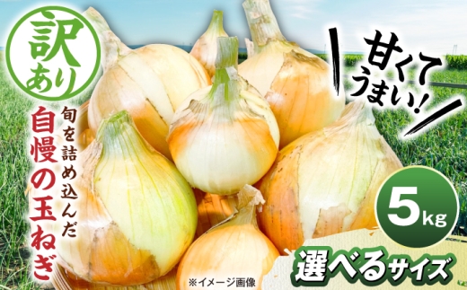 【訳あり】玉ねぎ5kg 玉ねぎ たまねぎ タマネギ 玉葱 オニオン 訳アリ わけあり玉ねぎ 野菜 玉ねぎ 滋賀県 長浜市 人気