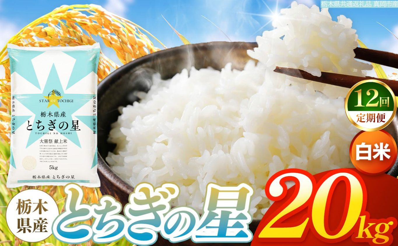 【令和8年産 新米】 【定期便12回】栃木県産 お米 とちぎの星　（白米） 20kg 【2026年秋以降発送】 |  栃木県 矢板市 【栃木県共通返礼品 真岡市産】 【定期便12回】白米 20kg |
