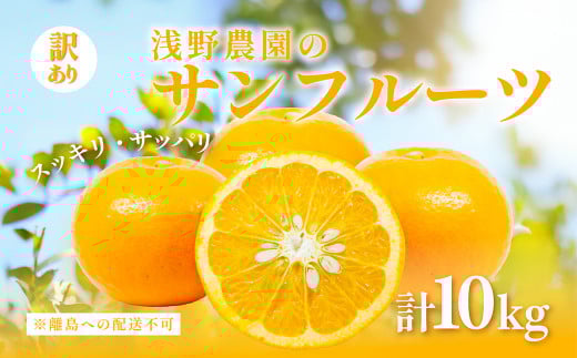 【訳あり】浅野農園のサンフルーツ 10kg ※離島への配送不可 【 ふるさと納税 人気 おすすめ ランキング 柑橘 みかん ミカン オレンジ  サンフルーツ フルーツ 訳あり 果物 くだもの 旬 愛媛県産 愛媛みかん 浅野農園 愛媛県 伊方町 送料無料 】 IKTAC011