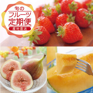 SE0464　【3回定期便】農家直送 旬のフルーツ定期便2026 (いちご、庄内メロン、いちじく)