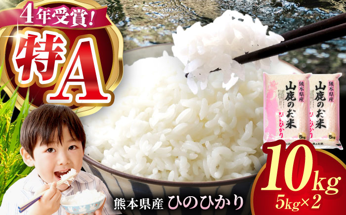 〈令和7年度産米〉 山鹿のお米 ヒノヒカリ 5kg×2【有限会社 あそしな米穀】 令和7年産 [ZBI012]