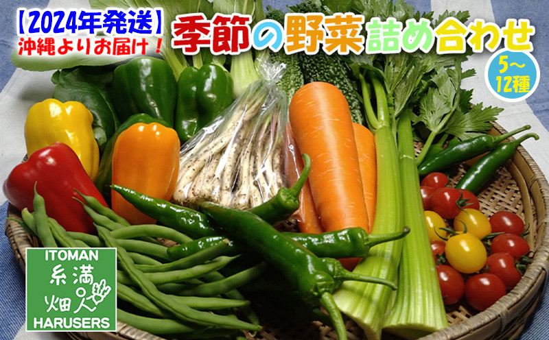 
【2024年発送】沖縄よりお届け！季節の野菜詰め合わせ（5～12種類）
