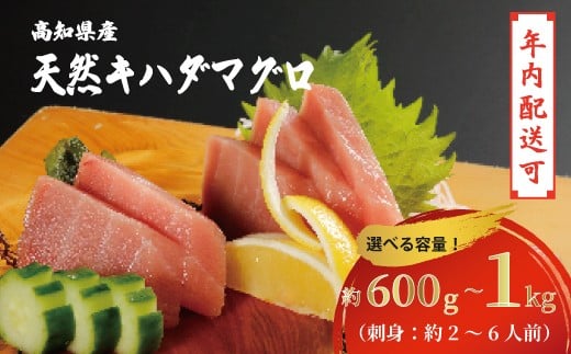 
                  【年内配送】お刺身 や 漬け丼 に！ 天然まぐろ キハダマグロ 赤身 約600g 1kg 海鮮 魚 魚介 まぐろ マグロ 鮪 刺し身 さしみ 切り身 切身 天然 グルメ ごちそう おかず お取り寄せ 高知県 四万十市 四万十 しまんと
                