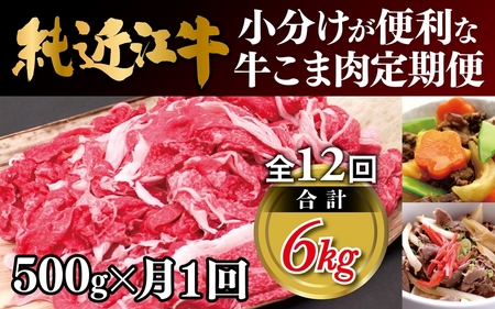 毎月お届け 純近江牛 小分けが便利な牛こま肉定期便【毎月お届け：全12回】[0384]