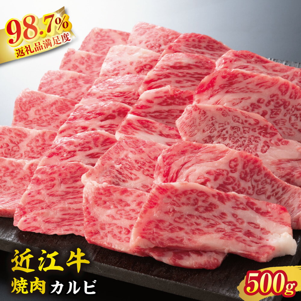 【 ふるさと納税 】 特選 近江牛 焼肉用 カルビ 500g 冷凍 A4 A5 バラ肉 バラ 牛バラ肉 焼き肉 焼肉 焼き肉用 焼肉用牛肉 焼肉用肉 和牛カルビ 牛カルビ 肉 和牛 牛 牛肉 霜降り 赤身 希少部位 お取り寄せ 近江牛ギフト ギフト プレゼント 御中元 お中元