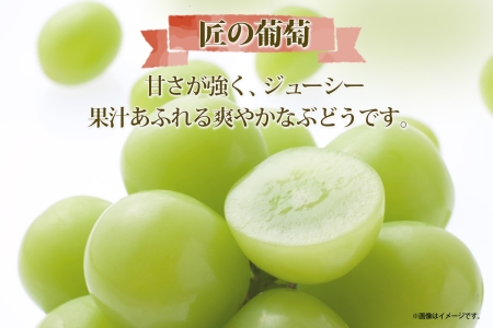 ＜2024年先行予約＞露地山梨県産 シャインマスカット 1房約700g程度 177-012