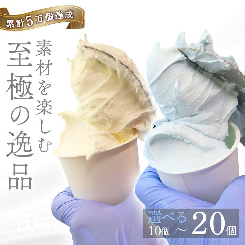 【ふるさと納税】 大好評 こだわりの手作り ジェラート 20個 アイス アイスクリーム 詰め合わせ 家庭用 rk047