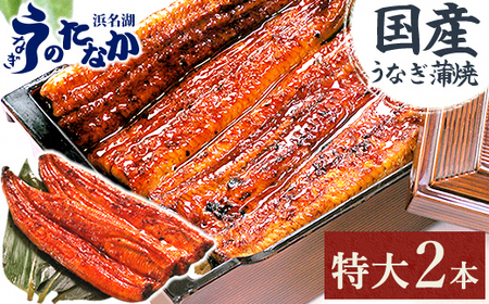【ふるなびWEEK対象】浜名湖・うなぎのたなかの長蒲焼2本セット!ふっくら柔らか♪国産うなぎ長蒲焼※合計360g程度_鰻 国産 ギフト_　FN-Limited【配送不可地域：離島】【1417614】