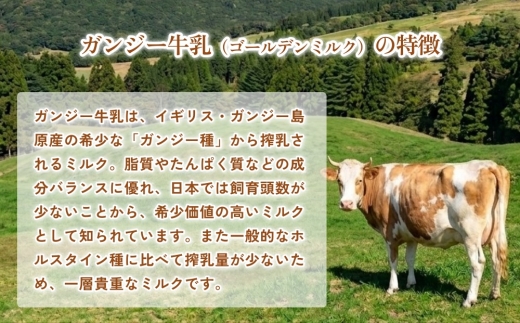 貴族の牛乳！ ガンジー牛乳 100% 900ml 2本 冷蔵