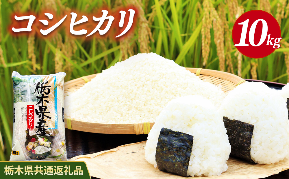 米 コシヒカリ 10kg(5kg×2) 栃木県産【栃木県共通返礼品】