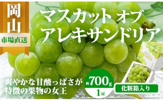 Cz-8　【令和7年発送・先行予約】岡山県産　マスカットオブアレキサンドリア（700g以上・秀品以上）1房　化粧箱入り