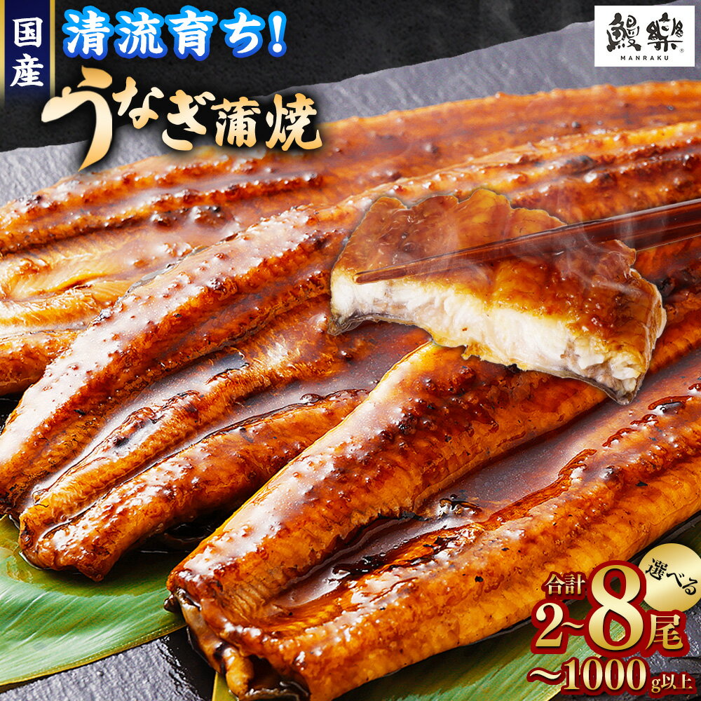 【ふるさと納税】【訳あり】清流うなぎ！＜国産 うなぎ 鰻 蒲焼き 2尾・3尾・4尾 ～ 5尾・6尾 ～ 8尾 320g 〜 1kg ふるさと納税 うなぎ 高級 長蒲焼 鰻 訳あり ウナギ unagi 丑の日 宮崎 高鍋町 人気 ランキング 送料無料【TVで話題沸騰！】