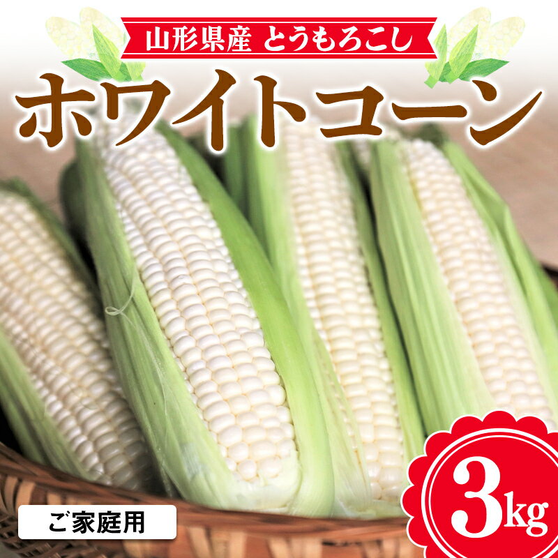 【ふるさと納税】≪2026年先行予約≫【お天道農園】ご家庭用 山形県産 とうもろこし ホワイトコーン ピュアホワイト 3kg 2026年7月下旬から順次発送 F2Y-6974