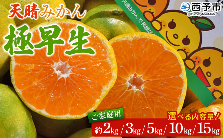 
            ＜天晴みかん 極早生 ご家庭用 約2kg／3kg／5kg／10kg／15kg＞ 温州ミカン 柑橘 果物 くだもの フルーツ 蜜柑 訳あり ワケアリ 自宅用 期間限定 季節限定 食べて応援 特産品 産地直送 愛媛県 西予市【常温】
          
