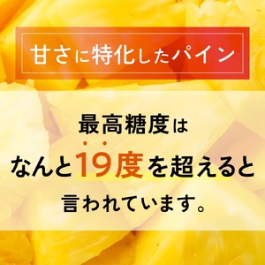 【先行予約】石垣島産 中玉サンドルチェ４玉 合計約3.8kg《2025年夏季 順次発送》【 沖縄 石垣 フルーツ パイナップル パイン サンドルチェ 産地直送 】SI-108