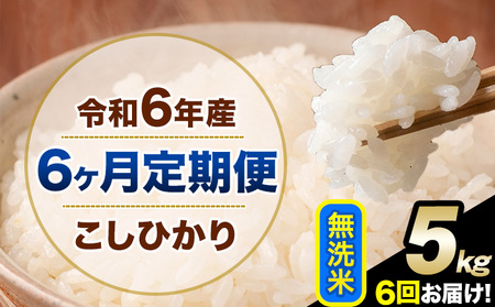 【6ヶ月定期便】令和6年産 定期便 こしひかり 無洗米 定期便 5kg 精米 熊本県産(南阿蘇村産含む)  南阿蘇村《申込み翌月から発送》｜人気米 熊本県産米  生活応援米
