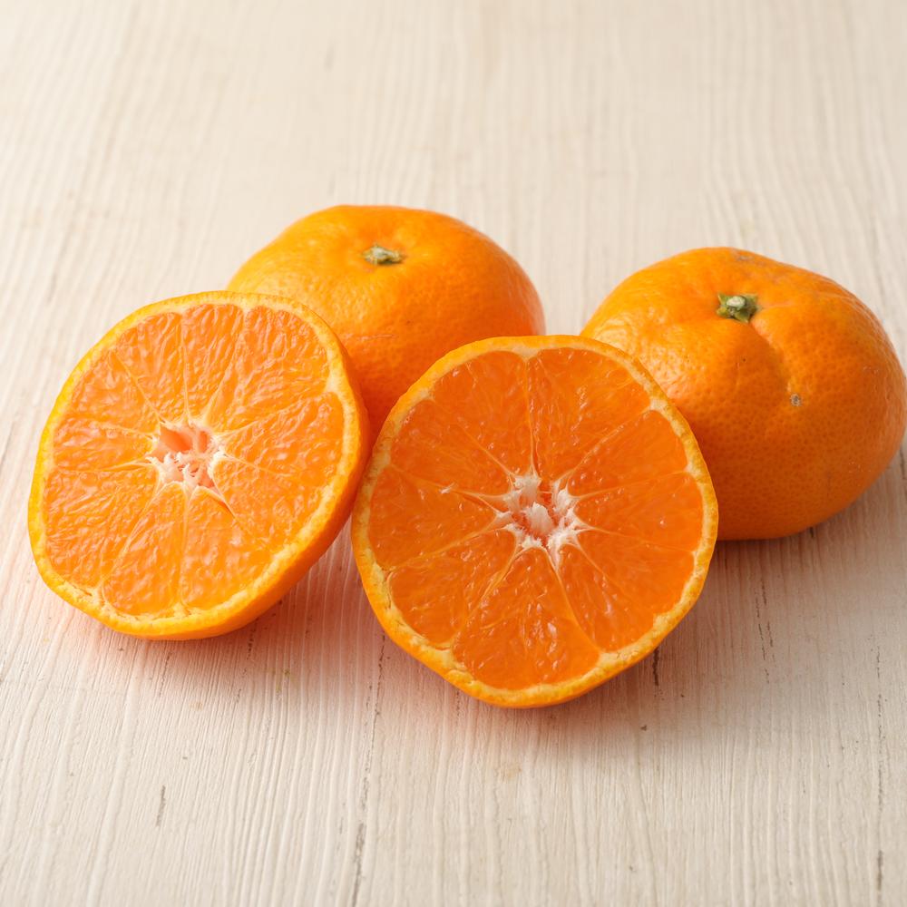 【ふるさと納税】長崎県産 温州みかん 5kg 個数 サイズ おまかせ | 蜜柑 ミカン 柑橘 くだもの 果物 旬 フルーツ 国産 アフター保証 送料無料 【2025年10月上旬～2026年1月下旬迄発送予定】