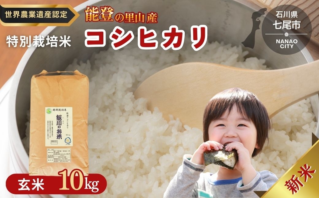 
                  米 玄米 /能登のコシヒカリ　飯川のお米　10kg（玄米10kg×1袋）特別栽培米 ※2026年10月～発送 石川県 七尾市
                