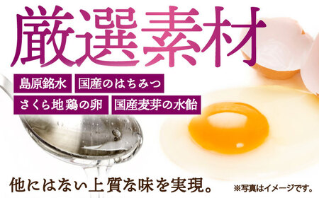 カステラ 五三焼 500g×2本 / カステラ カステラ カステラ カステラ カステラ カステラ カステラ / 川崎 [SBI011]