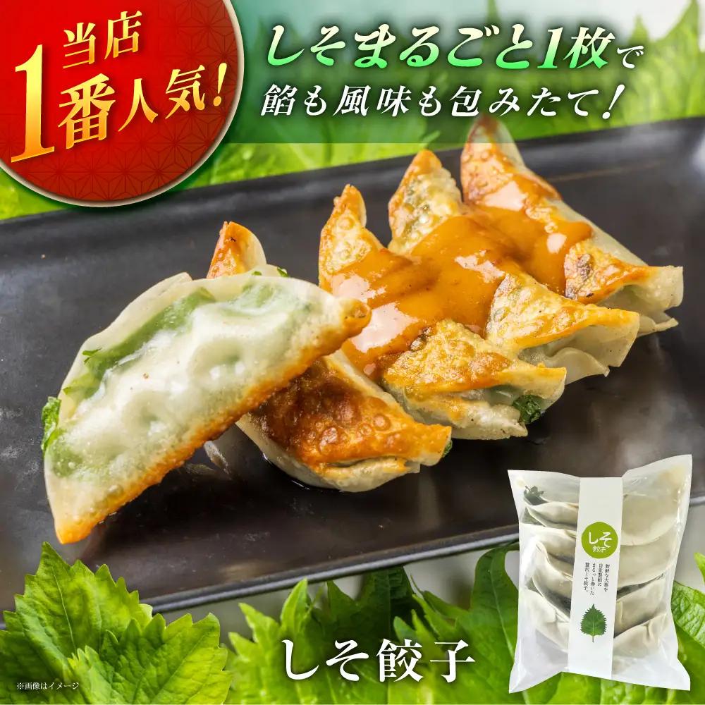 餃子屋ヒロの3種食べ比べセット 餃子 ぎょうざ 【ふるなびWEEK対象】[BDAS002] 