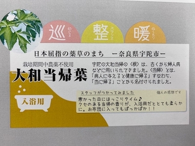 大和当帰 入浴剤 50包（1袋 5包入×10個)／ ウェルネスフーズ UDA バスグッズ 無添加 有機栽培 リラックス ストレス解消 ボディケア 肌荒れ改善 疲労回復 薬草 ハーブ 奈良県 宇陀市