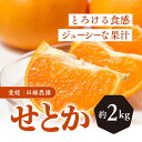 【ふるさと納税】【先行予約】【数量限定】田縁農園のせとか2kg ｜ 柑橘 みかん ミカン フルーツ 果物 愛媛 ※離島への配送不可 ※2025年3月上旬～3月下旬頃に順次発送予定