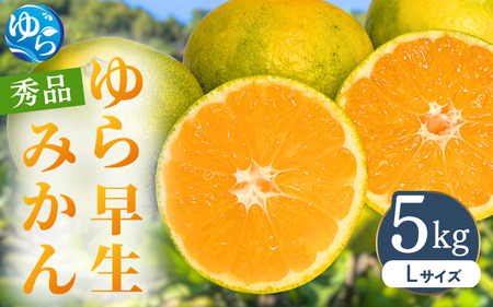 【先行予約】ゆら早生みかん 秀品 Lサイズ 5kg 贈答用 ※2025年10月頃に順次発送予定 / ゆら早生 柑橘 極早生 フルーツ 果物 くだもの 食品 人気 おすすめ 送料無料 由良町 【ksmt009】 
