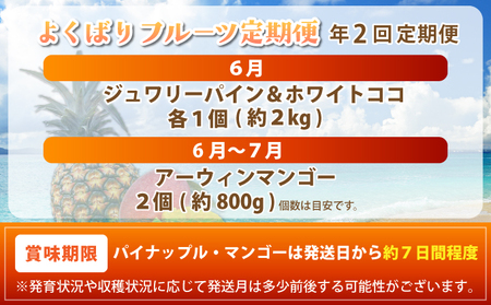 《2026年6月以降発送》マツコの知らない世界で紹介！幻のホワイトココ＆最高糖度20度_完熟マンゴーの定期便年２回に分けてお送りします