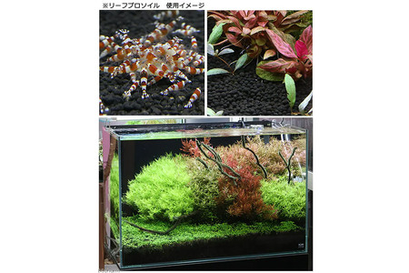 ソイル 魚が簡単に飼える リーフプロソイル ノーマル 24L（8L×3袋） 熱帯魚 用品 株式会社チャーム charm