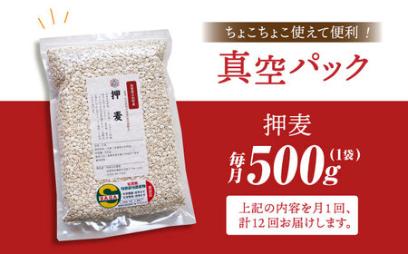 【全12回定期便】押麦500g（1等麦使用）【葦農】 HAJ039 