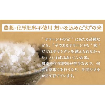 ふるさと納税 石巻市 【 先行受付 】ササシグレ 玄米 5kg 新米 米 お米 節減対象農薬不使用 化学肥料不使用 コメ |  | 02