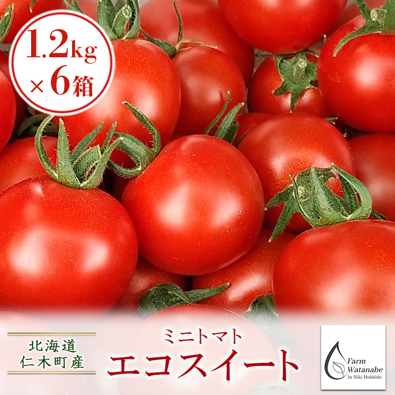 [先行受付/2025年産][栽培期間中 農薬・化学肥料不使用] 北海道 仁木町産 ミニトマト エコスイート 1.2kg×6箱 サイズ混載 トマト野菜 やさい  [Farm Watanabe]