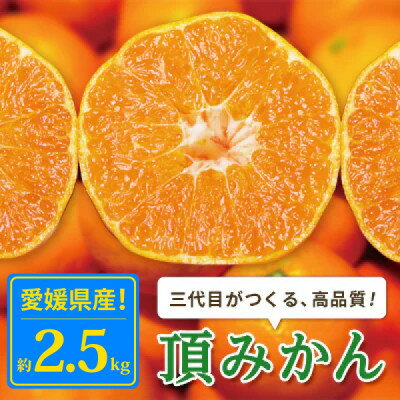【ふるさと納税】三代目がつくる高品質【頂みかん】2.5kg~_ みかん 蜜柑 ミカン 愛媛みかん 愛媛 国産 箱 送料無料 農家直送 産地直送 柑橘 かんきつ 温州みかん 旬 フルーツ 果物 くだもの 【G1042516】