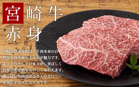 宮崎牛赤身ステーキ(400g) 内閣総理大臣賞4大会連続受賞のブランド牛 [黒毛和牛 国産牛 牛肉 お肉] 特番558