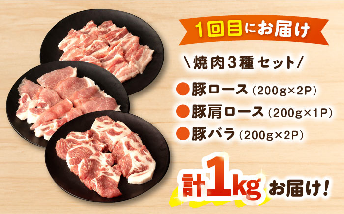 【3回定期便】ナルちゃんファーム豚肉コース　総量3kg 大村市 おおむら夢ファームシュシュ [ACAA058]