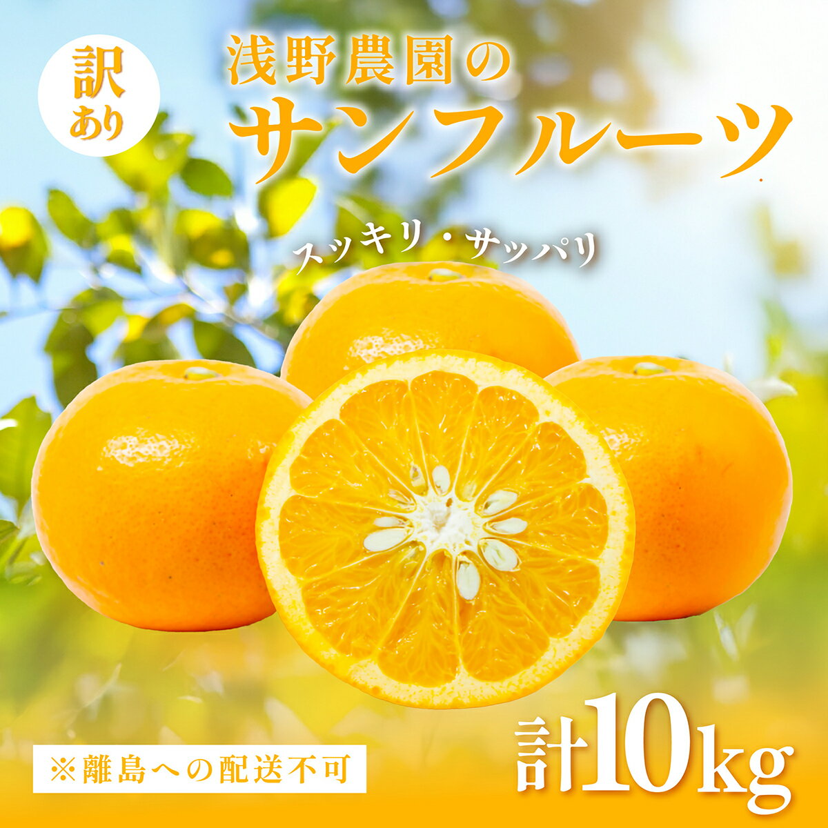 【ふるさと納税】【先行予約】【訳あり】浅野農園のサンフルーツ 10kg ※離島への配送不可（2026年3月中旬頃より順次発送予定）【 ふるさと納税 おすすめ みかん ミカン オレンジ サンフルーツ 訳あり 果物 くだもの 旬 愛媛みかん 浅野農園 愛媛県 伊方町 】 IKTAC011