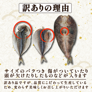 訳あり 旬 干物 詰め合わせ 1.5kg 干物
