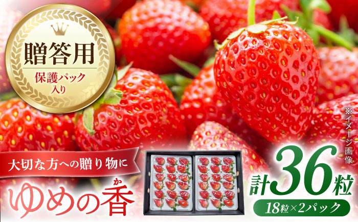 
            【贈答用】いちご ゆめの香 36粒（18粒×2パック） 化粧箱入 長崎県/わたる農園 [42AABB004] イチゴ 苺 フルーツ 贈答 プレゼント ギフト お歳暮 御歳暮
          