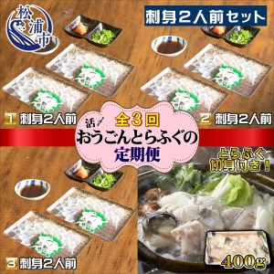 【全3回定期便】活〆おうごんとらふぐ刺身2人前セット　3回目鍋用切身400g付( 定期便 とらふぐ 鍋用 切り身 刺身 九州 長崎県 松浦市 )【G0-009】